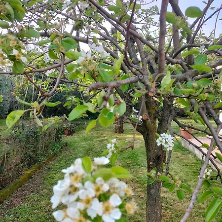 Casale Del Sole Holiday home Palestrina