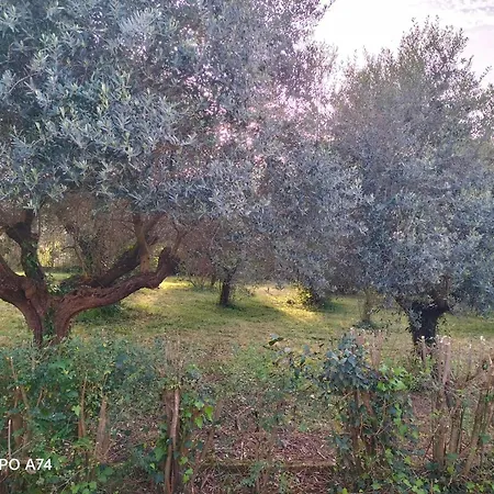 Casale Del Sole Palestrina