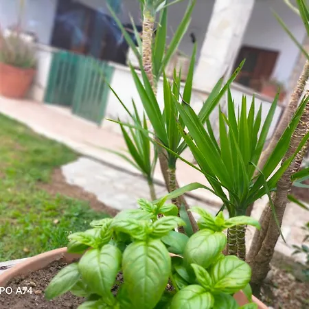 Holiday home Casale Del Sole